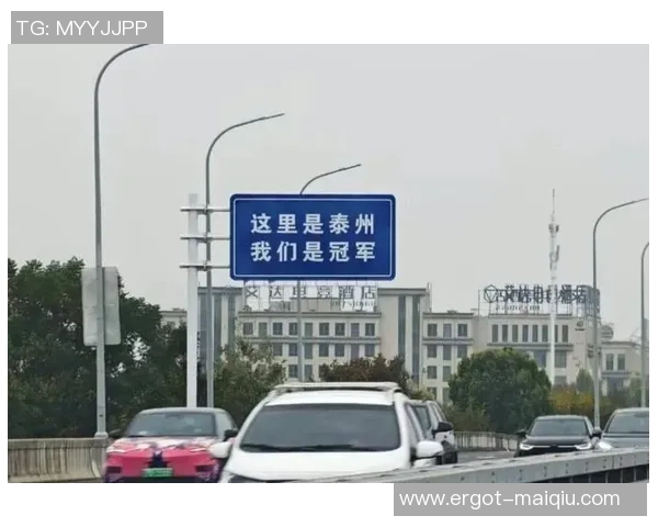 泰州市委书记：苏超夺冠发明了建市以来最具影响力的破圈爆点